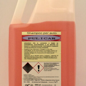 PULICAR DEG detergente concentrato per veicoli e superfici esterne, flaconi da 5 a 30 kg con azione sgrassante