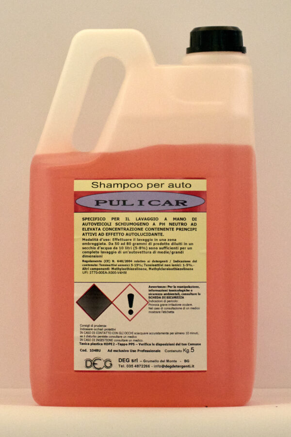 PULICAR DEG detergente concentrato per veicoli e superfici esterne, flaconi da 5 a 30 kg con azione sgrassante